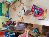 Innowacja pedagogiczna "Przedszkole bez zabawek", foto nr 24, 